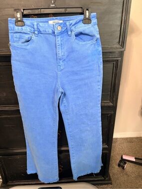 Zenana Outfitters Wide Leg Jeans in Vibrant Blue